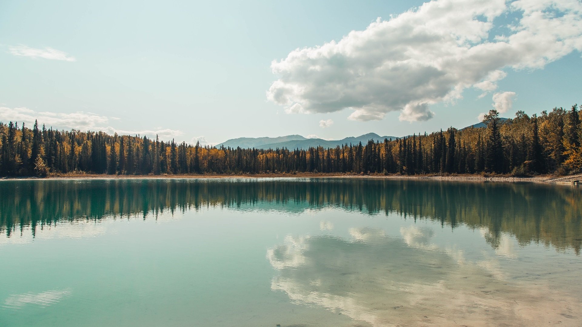 【罚分指南】裁判详解：不同犯规对应的处罚标准，犯规判罚的程序是什么