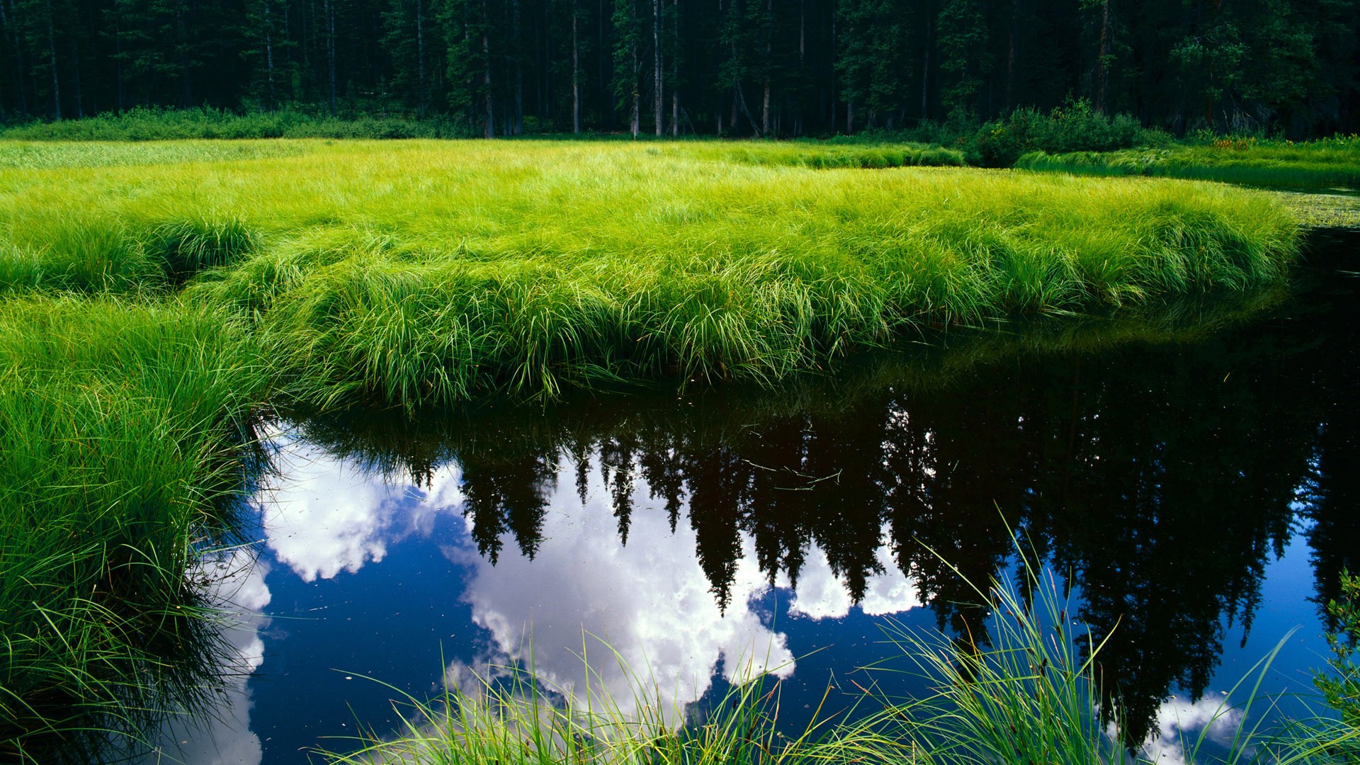 九游网页版官网-中学生田径总决赛落幕，三人打破全国记录，中学生田径锦标赛