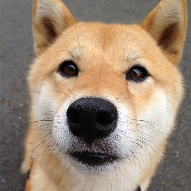 墨西哥男足在巴黎奥运会比赛中以2-0战胜西班牙,墨西哥男足奥运会冠军阵容