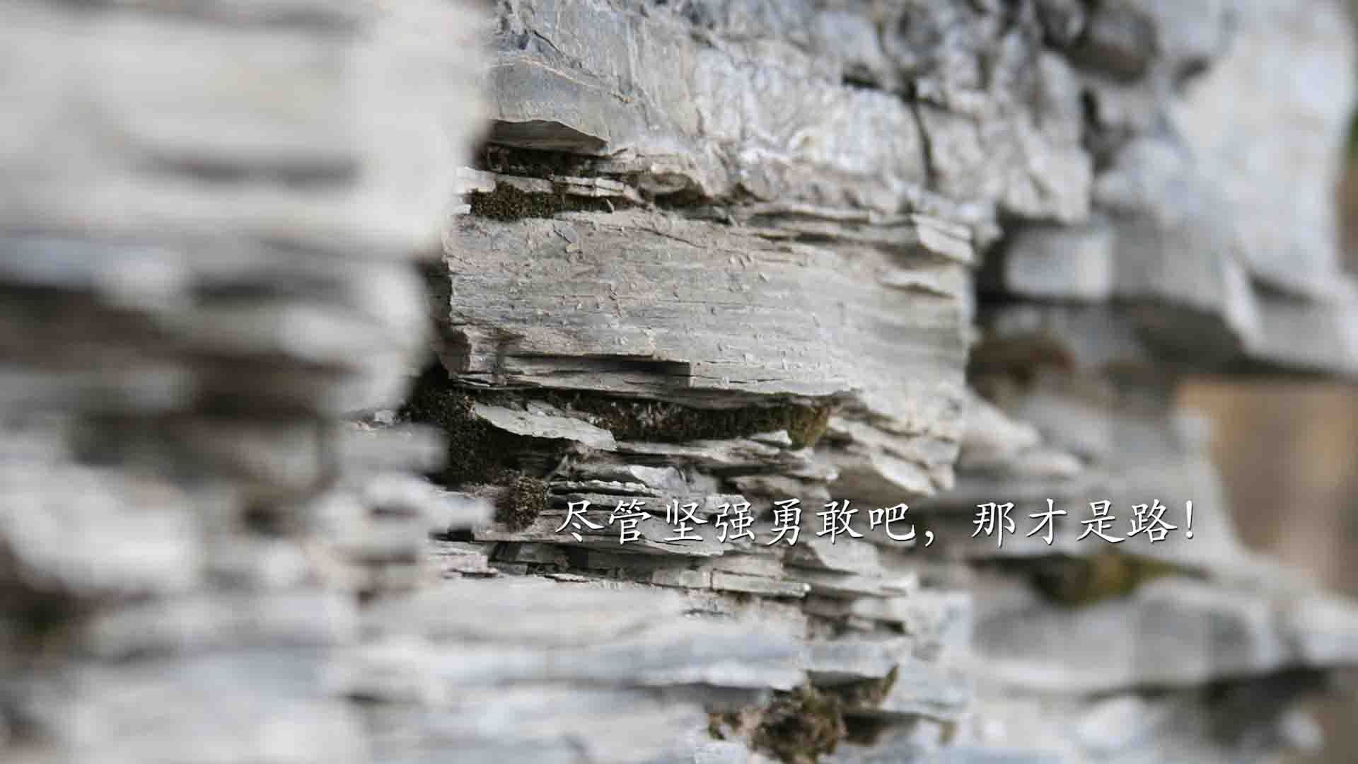 库里汤普森火力全开!,库里汤普森复出