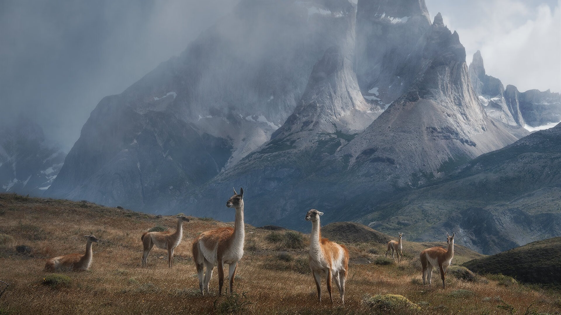 Jiuyou-库里成长：如何在联盟中打造“水花兄弟”王朝，库里6花卉