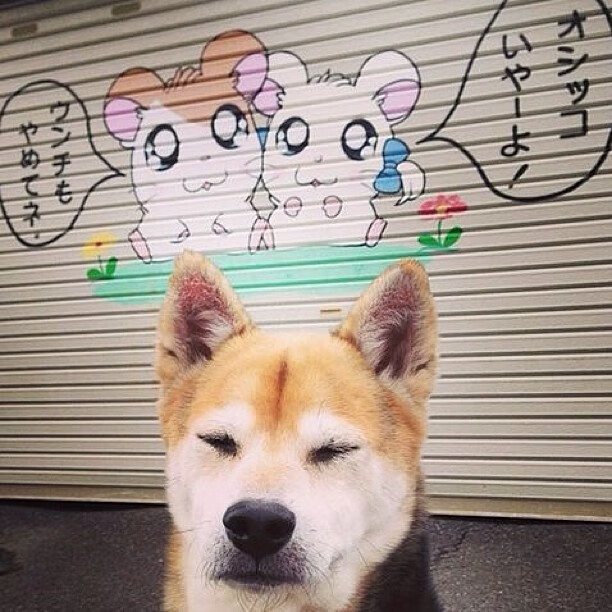 九游登录入口-斯台普斯中心球迷热情支持湖人，连续五场满座，nba斯台普斯球馆门票