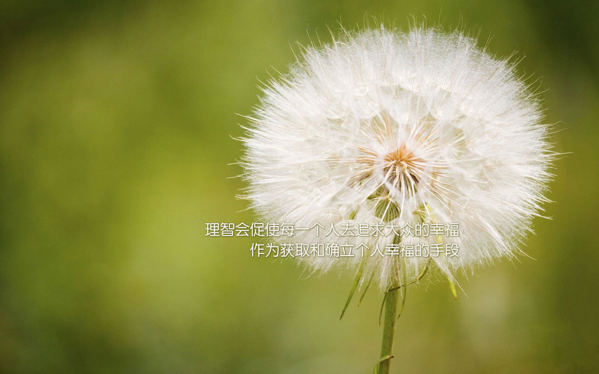 法甲焦点战,精彩进球引爆现场,战术变革令人期待,法甲进球集锦