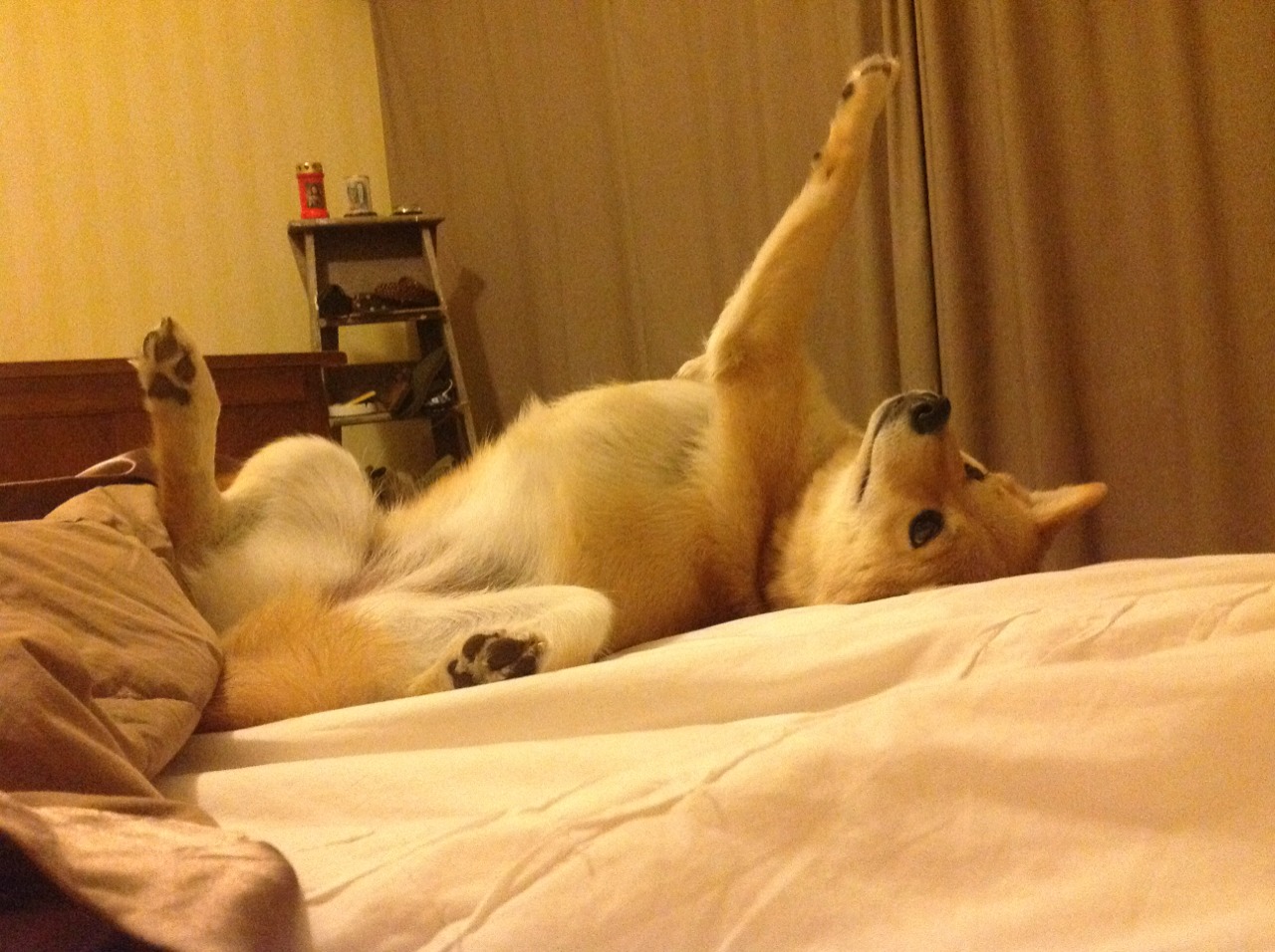 九游jiuyou-特色青训人才“引进+培养”双轨实施，行业创新生态不断完善，特色型人才培养主题活动的个人体会