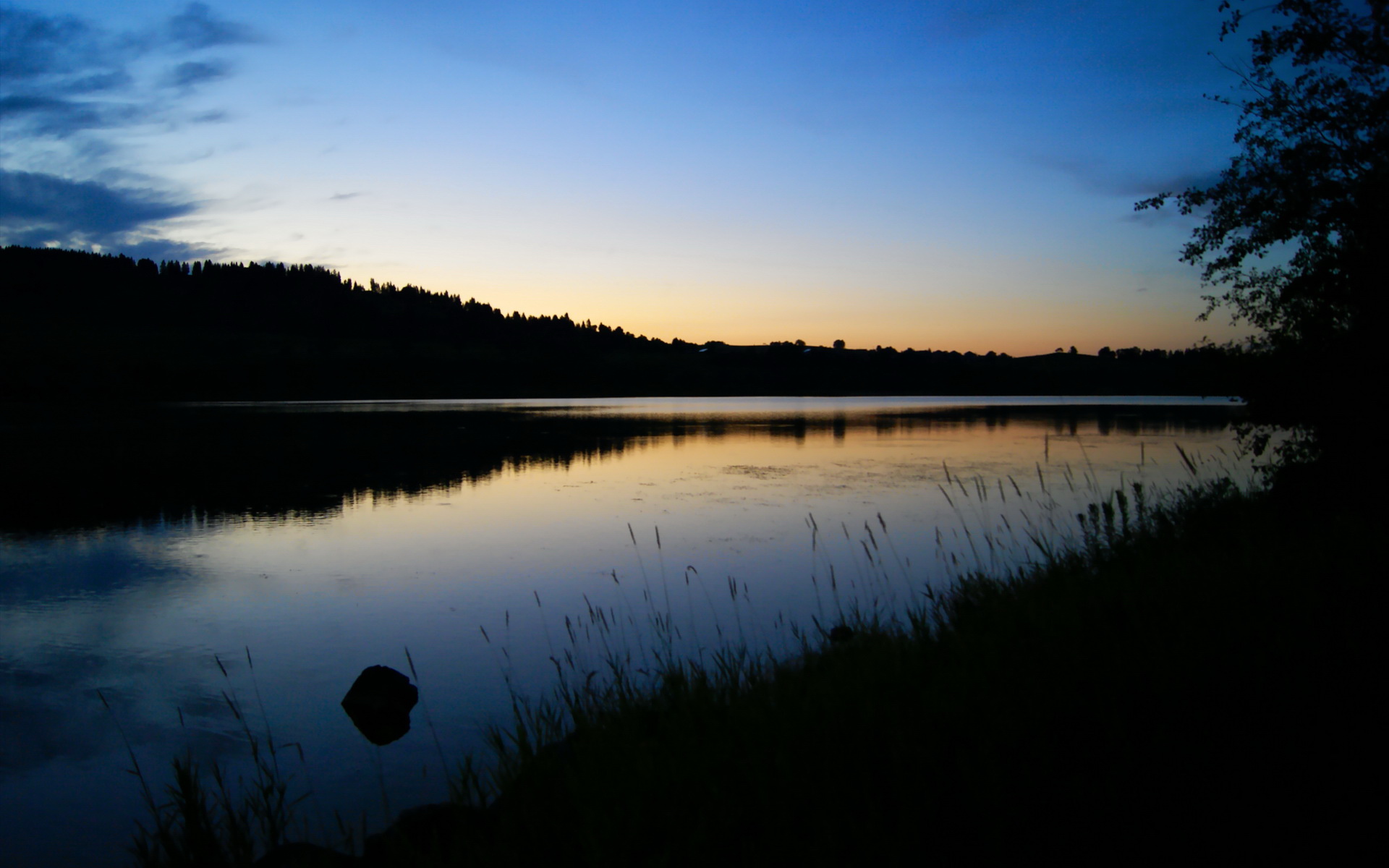 特色青训人才“引进+培养”双轨实施,行业创新生态不断完善,特色型人才培养主题活动的个人体会