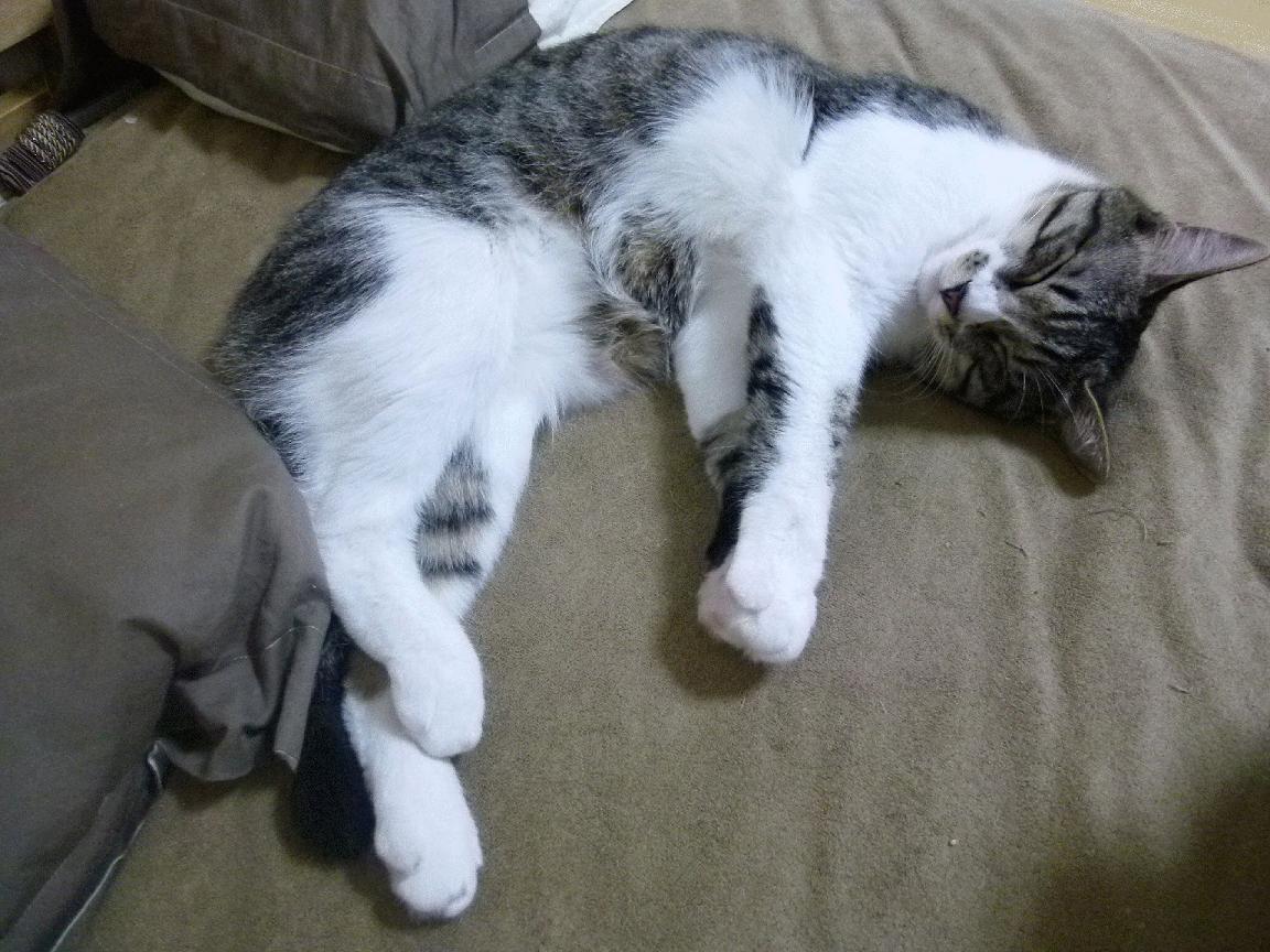 九游网页版官网入口-绝地求生 赛事奖金池不断扩大，绝地求生比赛奖金