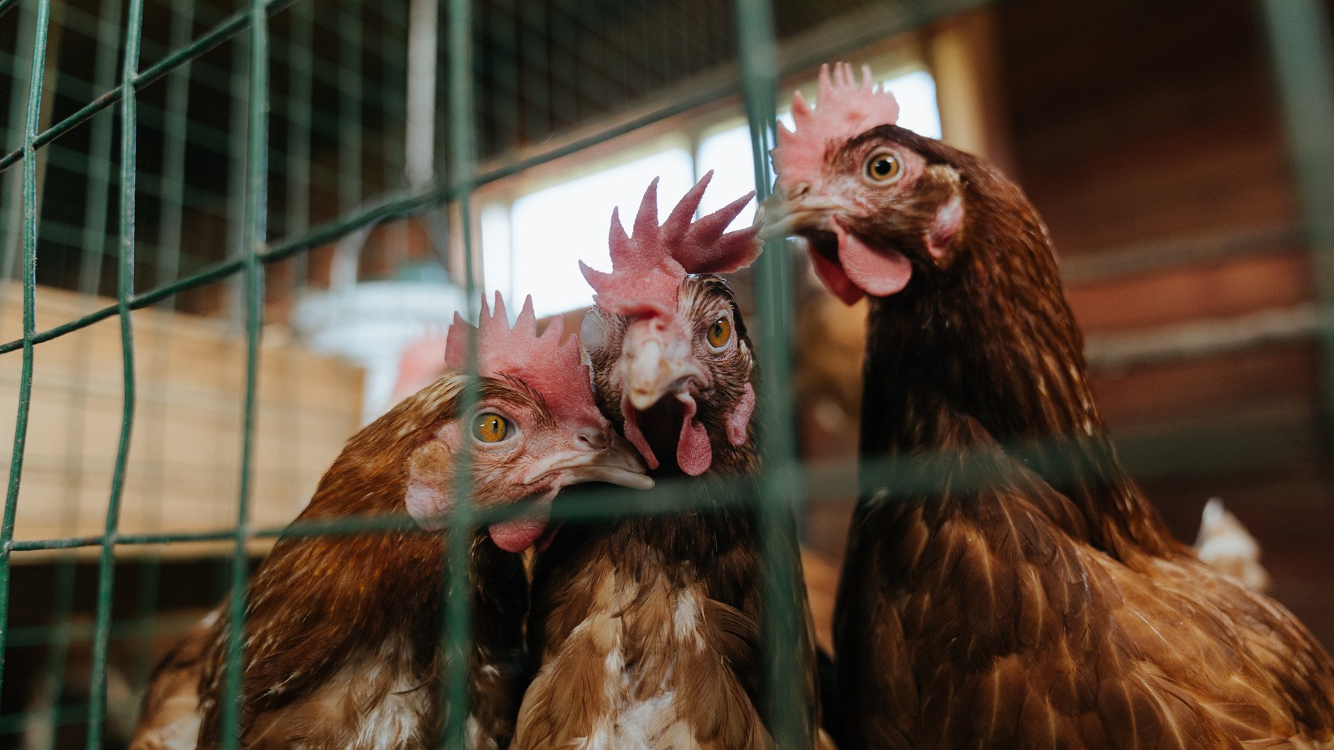 九游下载安装-结合旅游产业，电竞赛事成为城市新名片，电竞旅游产品开发