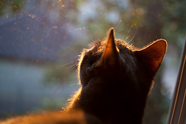 结合旅游产业，电竞赛事成为城市新名片，电竞旅游产品开发