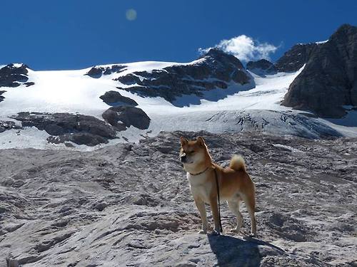 足球赛事营销研究项目获专项扶持,足球营销策划方案范文