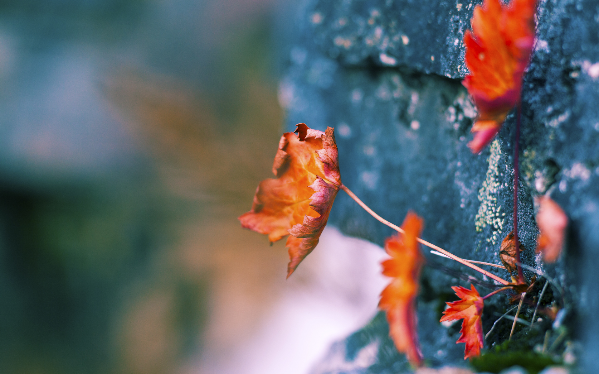 G联赛比赛数据统计发布,g联赛得分榜