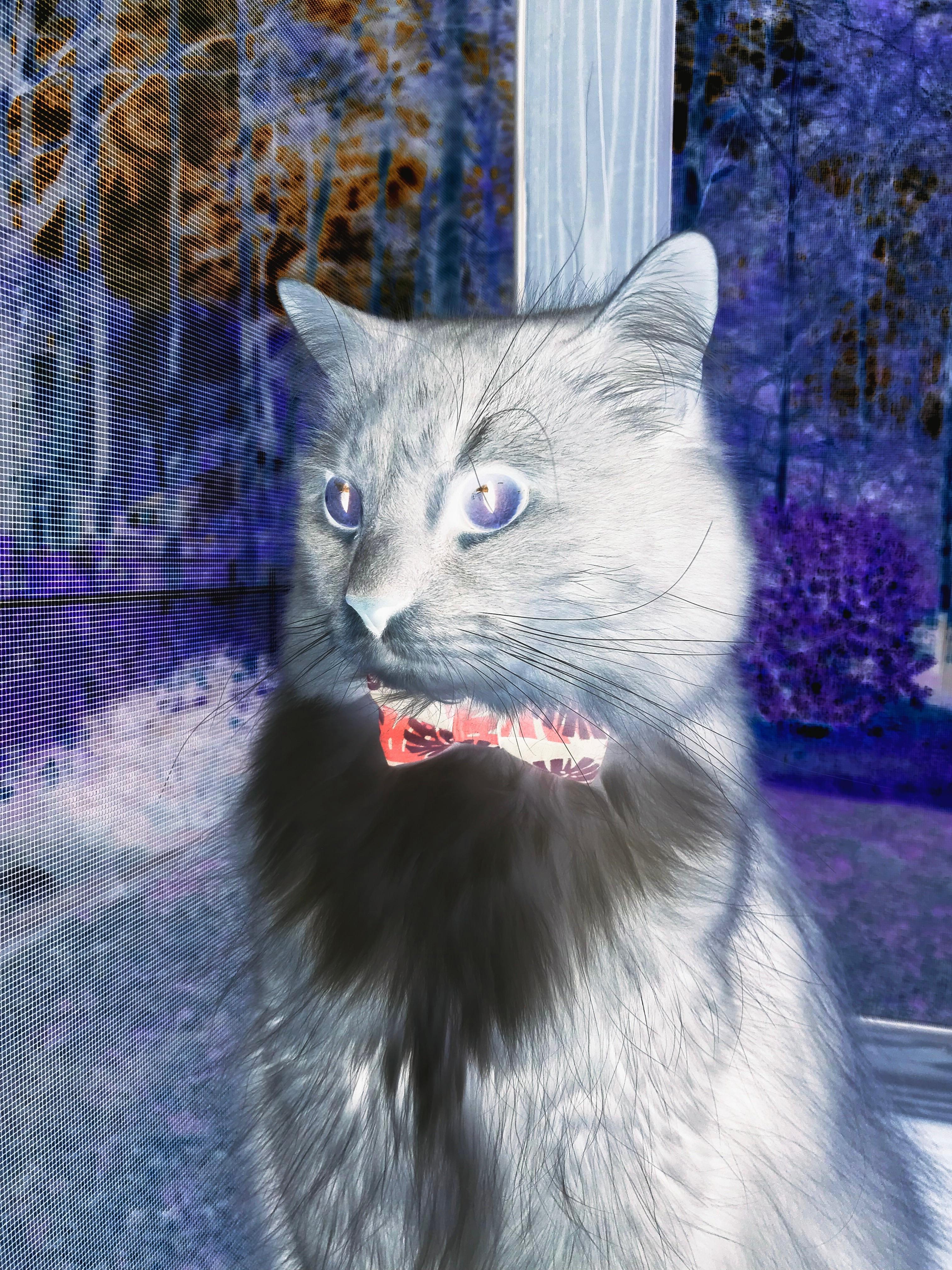 体育球队多名球员入选国家队,中国体育国家队队员