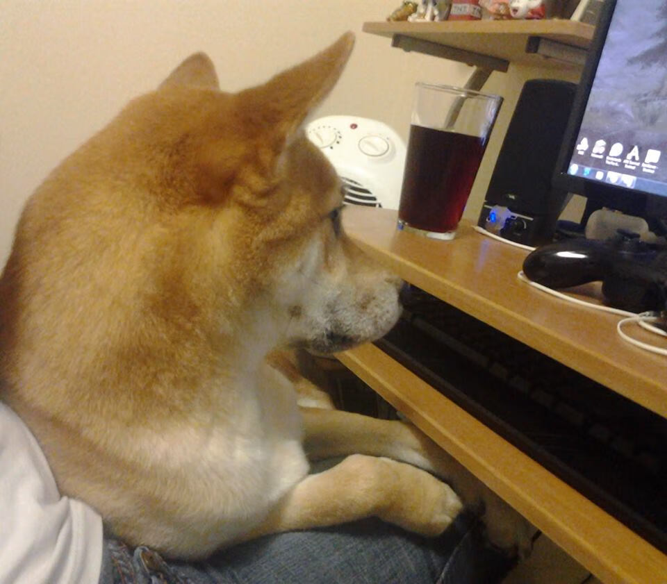 凯尔特人冲击榜首全队稳定输出，凯尔特人队员