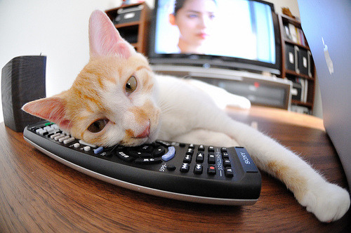 哪位教练在战术调整中最出色,胜率最高的教练